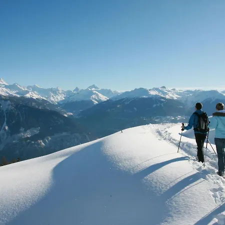 Apartment Les Faverges 5 By Interhome